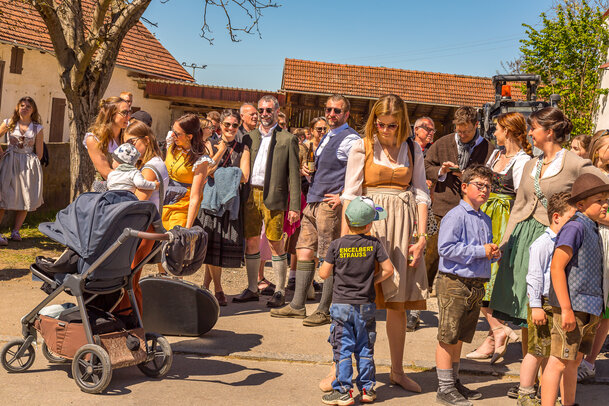 Thumbnail: _JA 31539 Maifest Hohenried 2026.jpg